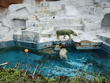 天王寺動物園に投稿された画像（2022/9/21）