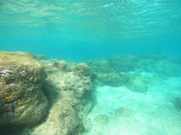 沖縄マリンサービス碧に投稿された画像（2022/9/21）