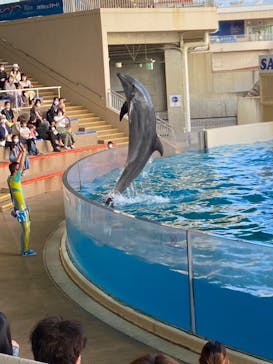 新江ノ島水族館に投稿された画像（2022/9/21）