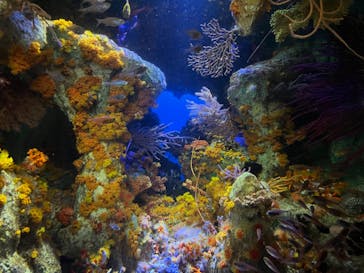 サンシャイン水族館に投稿された画像（2022/9/21）