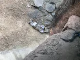 天王寺動物園に投稿された画像（2022/9/21）