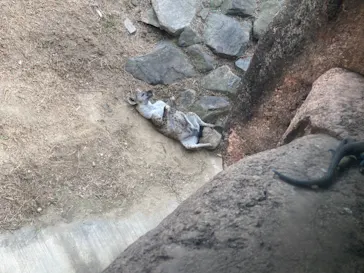 天王寺動物園に投稿された画像（2022/9/21）