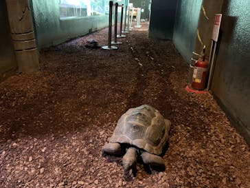 体感型動物園iZooに投稿された画像（2022/9/21）