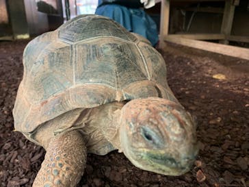 体感型動物園iZooに投稿された画像（2022/9/21）
