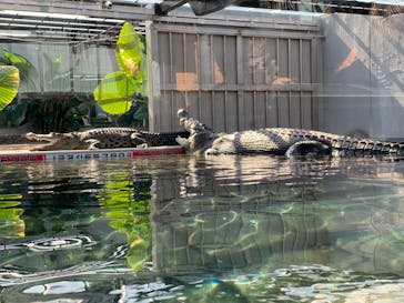 体感型動物園iZooに投稿された画像（2022/9/21）