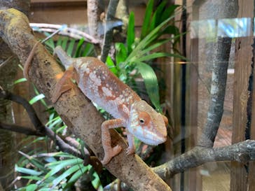 体感型動物園iZooに投稿された画像（2022/9/21）