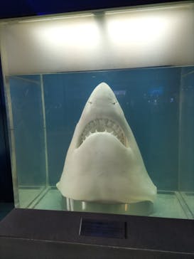 株式会社Gに投稿された画像（2022/9/21）