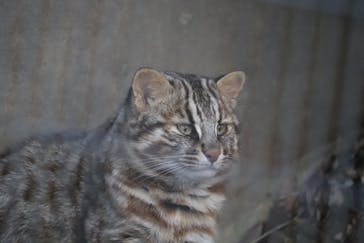 九十九島動植物園森きららに投稿された画像（2022/9/21）