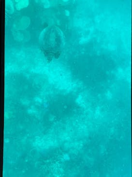 川平マリンサービスに投稿された画像（2022/9/22）