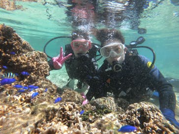 武藤潜水に投稿された画像（2022/9/22）