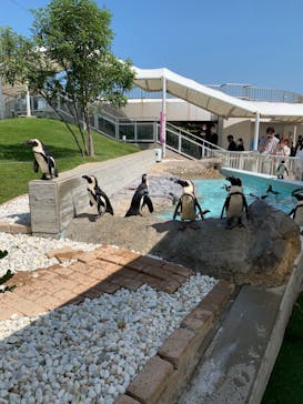 マリンワールド海の中道に投稿された画像（2022/9/22）