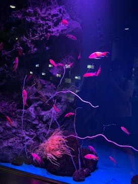 マリンワールド海の中道に投稿された画像（2022/9/22）