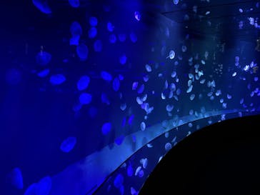 サンシャイン水族館に投稿された画像（2022/9/22）