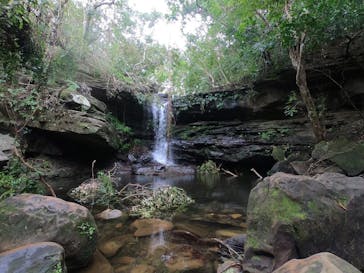 西表島 ADVENTURE PiPi（アドベンチャーピピ）に投稿された画像（2022/9/22）