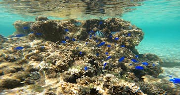 武藤潜水に投稿された画像（2022/9/22）