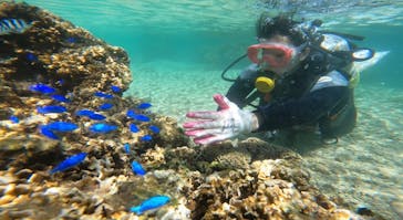 武藤潜水に投稿された画像（2022/9/22）