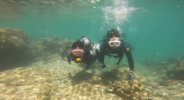 武藤潜水に投稿された画像（2022/9/22）