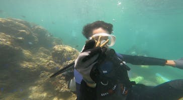 武藤潜水に投稿された画像（2022/9/22）