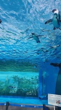 サンシャイン水族館に投稿された画像（2022/9/22）