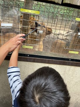 群馬サファリパークに投稿された画像（2022/9/22）