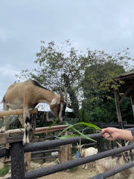 群馬サファリパークに投稿された画像（2022/9/22）