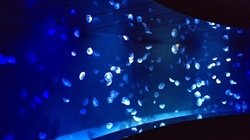 サンシャイン水族館に投稿された画像（2022/9/22）