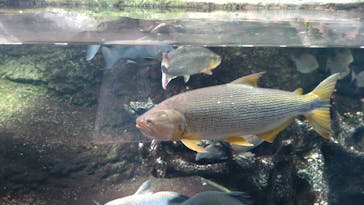 サンシャイン水族館に投稿された画像（2022/9/22）