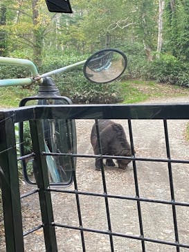 サホロリゾート　ベア･マウンテンに投稿された画像（2022/9/22）