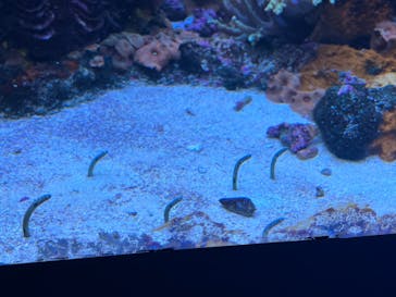 サンシャイン水族館に投稿された画像（2022/9/22）