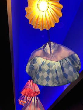 サンシャイン60展望台に投稿された画像（2022/9/22）