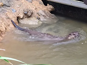 神戸どうぶつ王国に投稿された画像（2022/9/22）