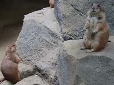 神戸どうぶつ王国に投稿された画像（2022/9/22）