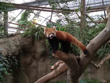 神戸どうぶつ王国に投稿された画像（2022/9/22）