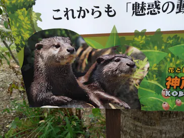 神戸どうぶつ王国に投稿された画像（2022/9/22）