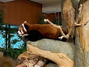 ネオパークオキナワに投稿された画像（2022/9/22）