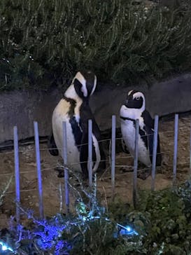 サンシャイン水族館に投稿された画像（2022/9/22）