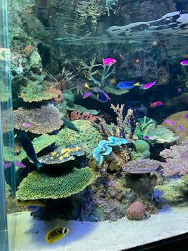 サンシャイン水族館に投稿された画像（2022/9/22）