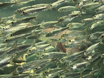 サンシャイン水族館に投稿された画像（2022/9/22）