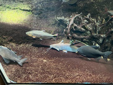 サンシャイン水族館に投稿された画像（2022/9/22）