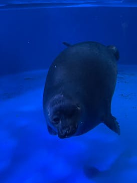サンシャイン水族館に投稿された画像（2022/9/22）