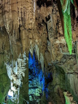 あぶくま洞に投稿された画像（2022/9/22）