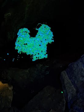 あぶくま洞に投稿された画像（2022/9/22）