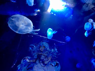 サンシャイン水族館に投稿された画像（2022/9/22）