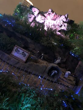 サンシャイン水族館に投稿された画像（2022/9/22）