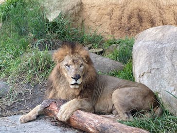 沖縄こどもの国に投稿された画像（2022/9/22）