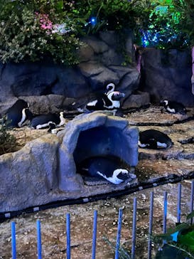 サンシャイン水族館に投稿された画像（2022/9/23）