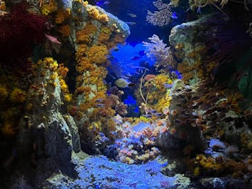 サンシャイン水族館に投稿された画像（2022/9/23）