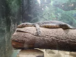 天王寺動物園に投稿された画像（2022/9/23）