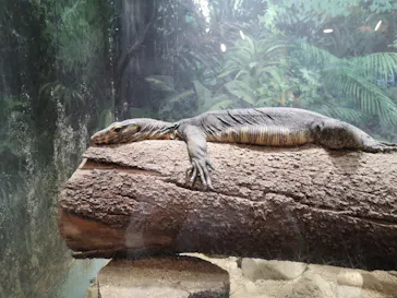 天王寺動物園に投稿された画像（2022/9/23）