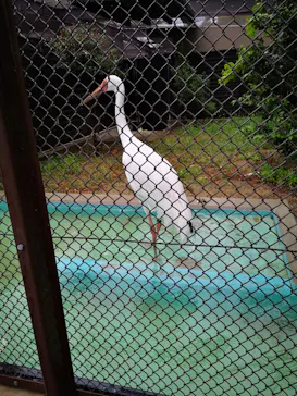 天王寺動物園に投稿された画像（2022/9/23）